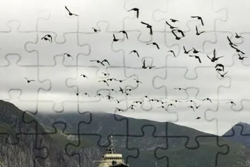 Big Koniuji Island and MV Tiglax jigsaw puzzle