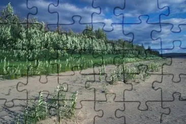 Koyukuk River Shoreline jigsaw puzzle