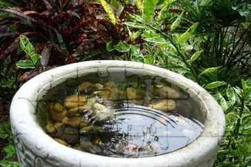 Bird bath jigsaw puzzle