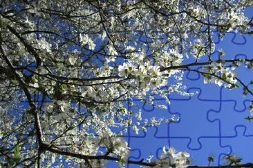 Spring Blossom jigsaw puzzle
