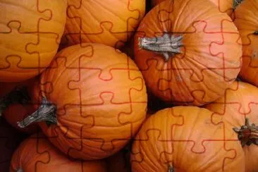 Pumpkins jigsaw puzzle