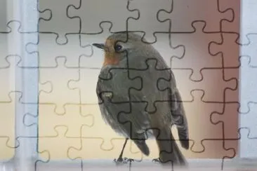 פאזל של ציפור עומדת על חלון