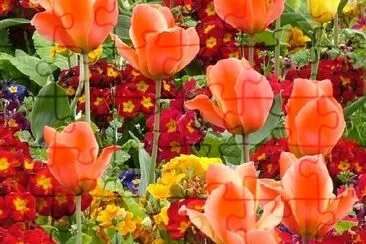 Flores de primavera