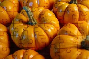 Pumpkins jigsaw puzzle