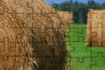 Hay jigsaw puzzle