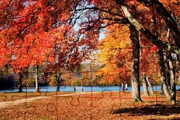 在公園裡散步