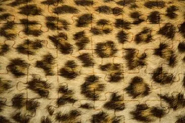 Trama di pelliccia di leopardo