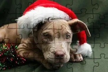 Pup in a Christmas Hat jigsaw puzzle