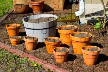 Herb Garden jigsaw puzzle