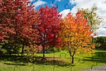 Paesaggio autunnale