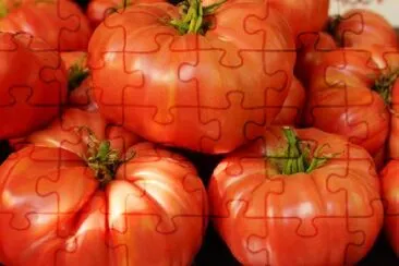 Red Tomatos jigsaw puzzle
