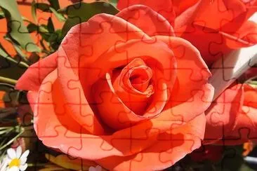 Red Blossom jigsaw puzzle
