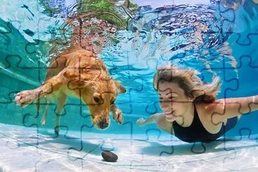 Woman playing with Retriever puppy in Pool jigsaw puzzle
