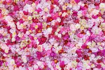 Beautiful flowers jigsaw puzzle