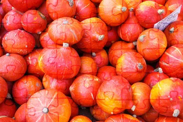 Many red autumn pumpkins on market jigsaw puzzle