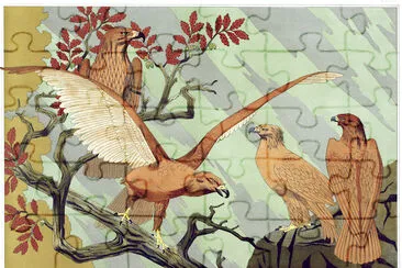 來自 Lanimal dans la décoration 的 Aigles
