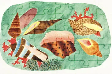 Shells in seaweed jigsaw puzzle