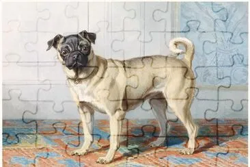 Retrato del Pug de Edwin Vom Rath