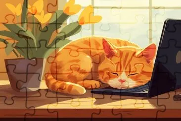 眠っている猫