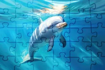 Delphin