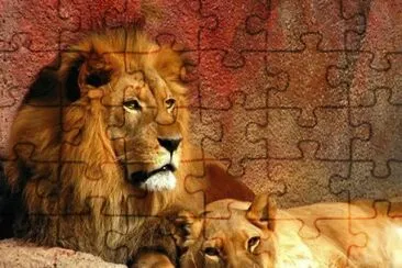 LEONES jigsaw puzzle