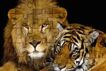 LEON Y TIGRE jigsaw puzzle