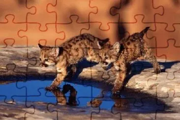 LEOPARDITOS jigsaw puzzle