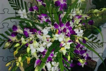 פאזל של flores