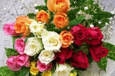 flores
