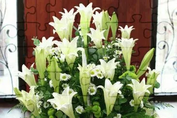 flores