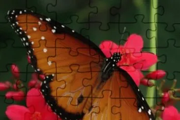 . jigsaw puzzle