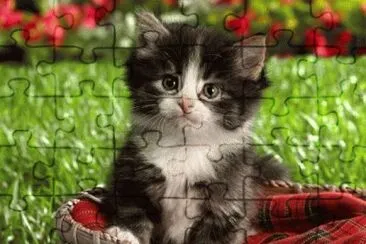 image jigsaw puzzle