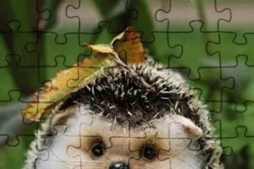 . jigsaw puzzle
