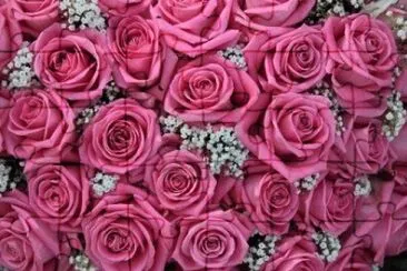 image jigsaw puzzle