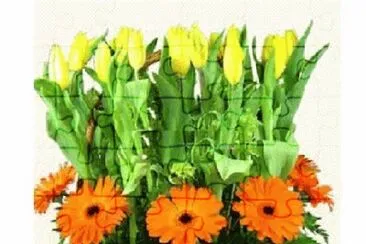 image jigsaw puzzle