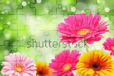 image jigsaw puzzle
