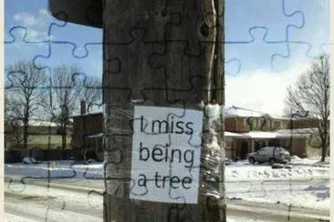 I miss being a tree