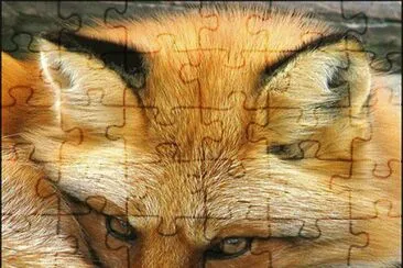 . jigsaw puzzle