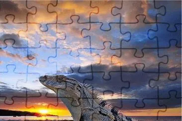 . jigsaw puzzle