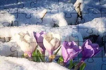 naturaleza jigsaw puzzle
