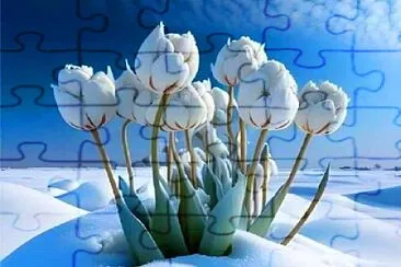 פאזל של naturaleza