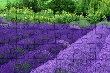 Garden jigsaw puzzle