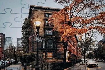 NY jigsaw puzzle