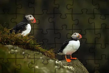 Toy jigsaw puzzle