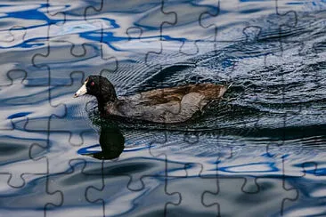 Toy jigsaw puzzle