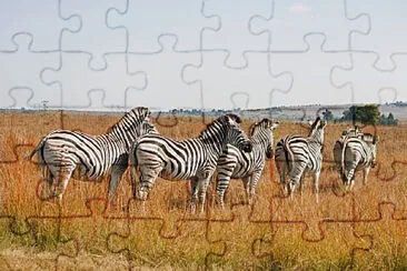 Imagem jigsaw puzzle
