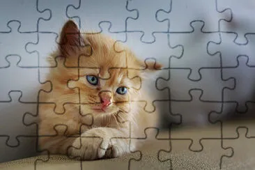 Imagem jigsaw puzzle