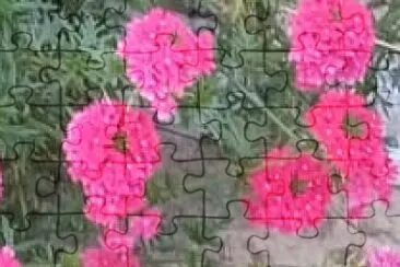 Toy jigsaw puzzle