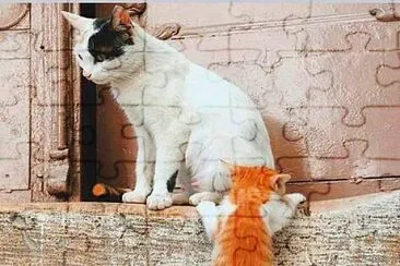 gato jigsaw puzzle
