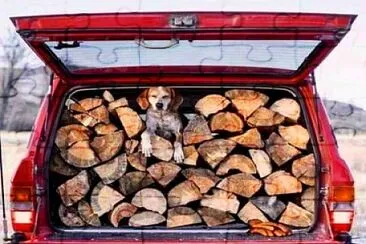 perro jigsaw puzzle